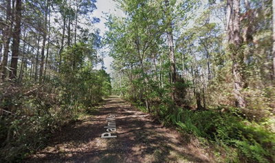 416 PALM Way, Georgetown, FL, 32139 — photo 2