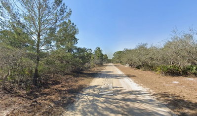 3235 DAHLIA Drive, Lake Placid, FL, 33852 — photo 2