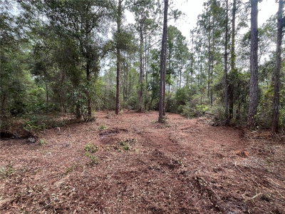 124 GLENSIDE Street, Georgetown, FL, 32139 — photo 2