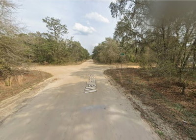 LOT 18 WALLACE Street, Interlachen, FL, 32148 — photo 2
