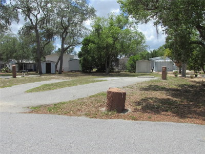 20 SILVER DOCTOR Lane, Lake Wales, FL, 33898 — photo 2