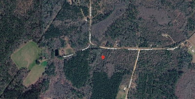 BILL DIXON Road, Graceville, FL, 32440 — photo 2