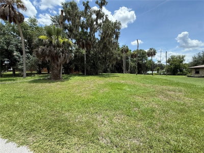 LAKE PIERCE Drive, Lake Wales, FL, 33898 — photo 2