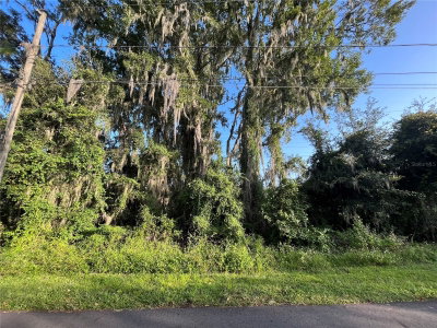 262 TOMS Road, Debary, FL, 32713 — photo 2
