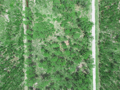 VALENCIA Drive, Indian Lake Estates, FL, 33855 — photo 2