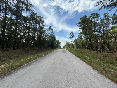 TBD TREE TOP Road, Dunnellon, FL, 34431 — photo 2