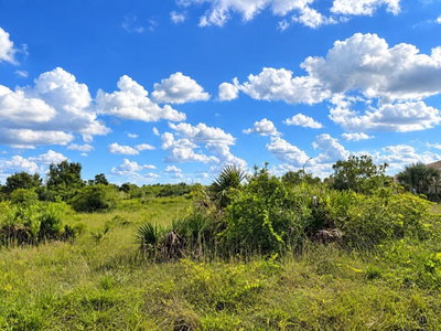 14516 280TH Street, Okeechobee, FL, 34972 — photo 2