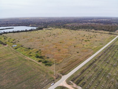 OLD BOWLING GREEN Road, Fort Meade, FL, 33841 — photo 2