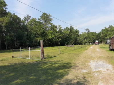 8333 KATHLEEN Road, Lakeland, FL, 33810 — photo 2