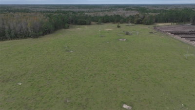 BERRY GROVES RD Drive, Clermont, FL, 34714 — photo 2