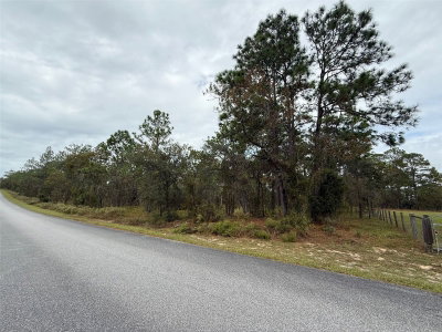 NW AMBERJACK Avenue, Dunnellon, FL, 34431 — photo 2