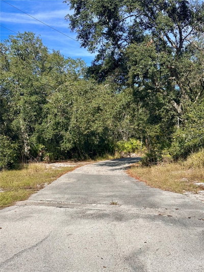 4125 TIGER CREEK TRL, Lake Wales, FL, 33898 — photo 2