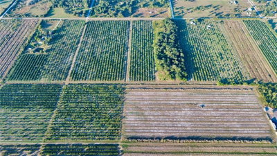 2205 HICKS Road, Lorida, FL, 33857 — photo 2