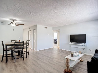 201 PINE VIOLET Court, Tampa, FL, 33612 — photo 2