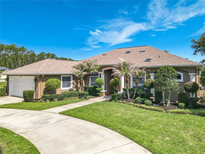 214 HAMLET Trace, Ormond Beach, FL, 32174 — photo 2