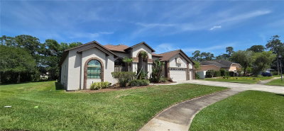 3904 HIDDEN SPRING Place, Valrico, FL, 33596 — photo 2