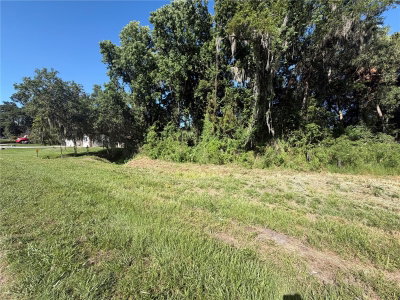 DOSSEY Road, Lakeland, FL, 33811 — photo 2