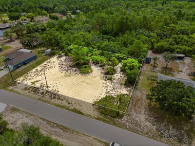 LEMON Drive, Lake Wales, FL, 33898 — photo 2
