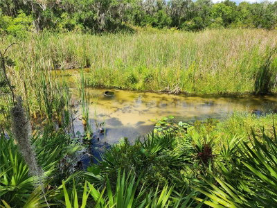 DEER Road, Frostproof, FL, 33843 — photo 2