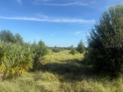 WELCOME Road, Lithia, FL, 33547 — photo 2