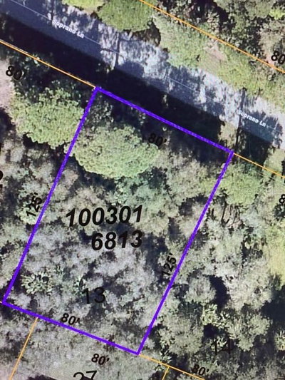 LOT 13 SOPRANO Lane, NORTH PORT, FL, 34286 — photo 2