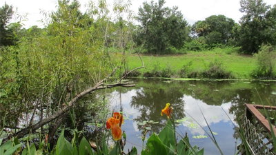 NIMBUS Drive, North Port, FL, 34287 — photo 2