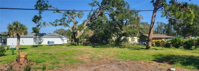 EDMONDSON Road, Nokomis, FL, 34275 — photo 2