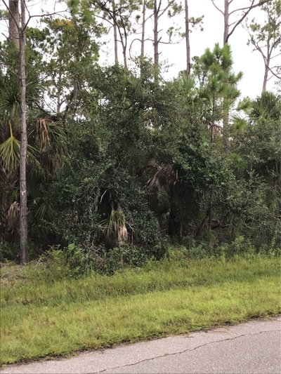 14202,m 14210,1 HYDRANGEA Avenue, Port Charlotte, FL, 33953 — photo 2