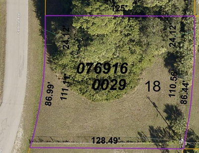 LOT 18 CALBIRA Avenue, North Port, FL, 34287 — photo 2