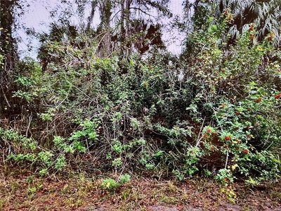 LOT 24 CAMPBELL Street, North Port, FL, 34288 — photo 2