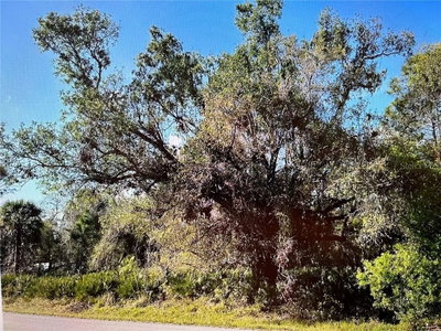 23422 ELMIRA Boulevard, Punta Gorda, FL, 33980 — photo 2