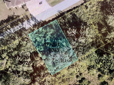 LOT 5&6 DE MIRANDA Avenue, North Port, FL, 34287 — photo 2