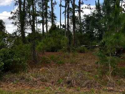 STARFISH Alley, North Port, FL, 34291 — photo 2