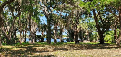 1508 Riverside Drive, Edgewater, FL, 32132 — photo 2