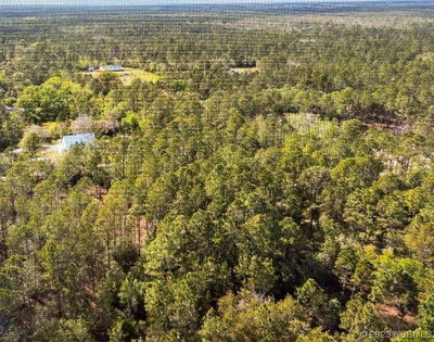 Kola Road, New Smyrna Beach, FL, 32168 — photo 2