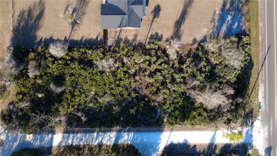 SR-415, New Smyrna Beach, FL, 32168 — photo 2