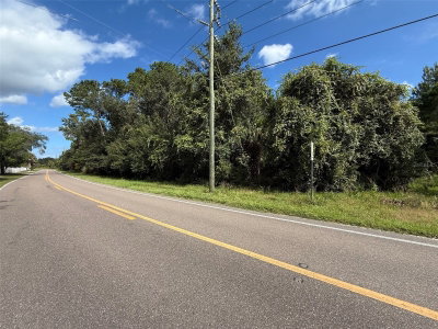 S GLENCOE Road, New Smyrna Beach, FL, 32168 — photo 2