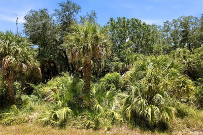 18426 SAGAMORE Avenue, Port Charlotte, FL, 33954 — photo 2
