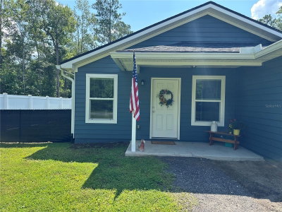 10010 MCMAHON Avenue, Hastings, FL, 32145 — photo 2