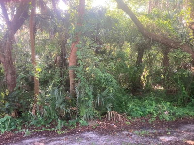 NANCY Street, Oak Hill, FL, 32759 — photo 2