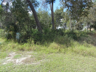 1684 CATALINA BLVD, Deltona, FL, 32738 — photo 2