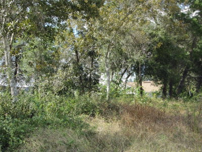 1688 CATALINA BLVD, Deltona, FL, 32738 — photo 2