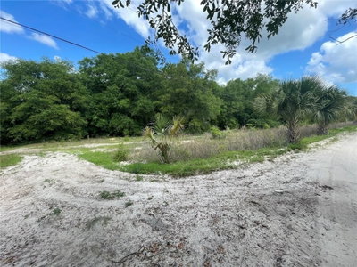 103 FRONTIER Drive, Satsuma, FL, 32189 — photo 2