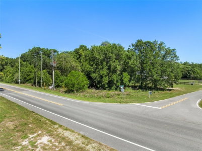 Lot 1 HOJIN Street, Sorrento, FL, 32776 — photo 2