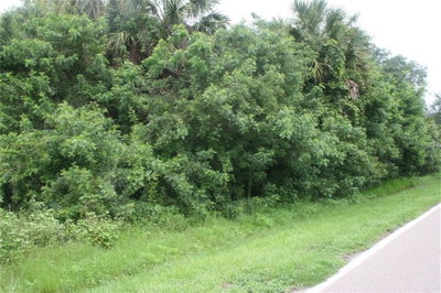 1224 ALTON Road, Port Charlotte, FL, 33952 — photo 2