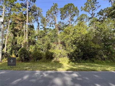 BRONCO Drive, Saint Cloud, FL, 34771 — photo 2