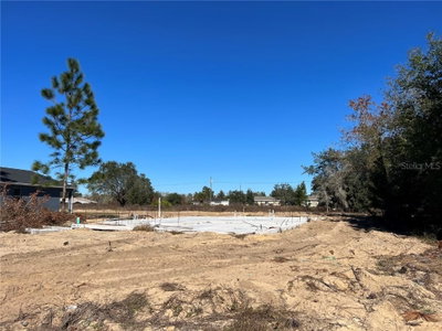 17 MALAUKA Circle, Ocklawaha, FL, 32179 — photo 2