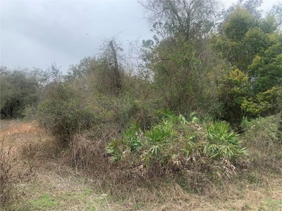 POCAHONTAS Drive, Dade City, FL, 33523 — photo 2