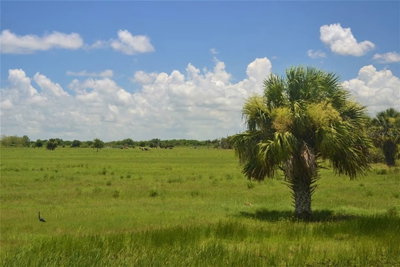 SCHUMANN Road, Fort Pierce, FL, 34945 — photo 2