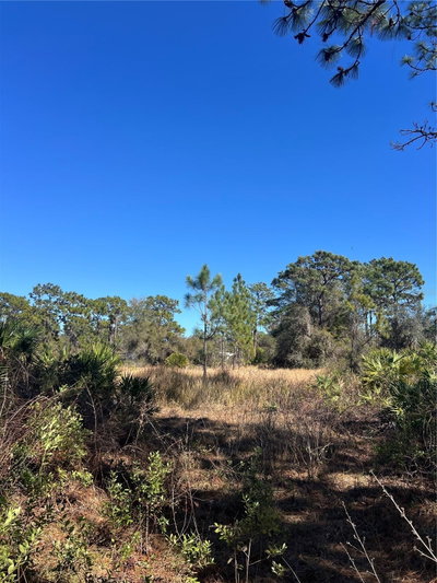 SHORE Drive, Lake Wales, FL, 33898 — photo 2